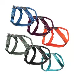 Postroj Line harness 5.0 vel. 1 - černá Loype