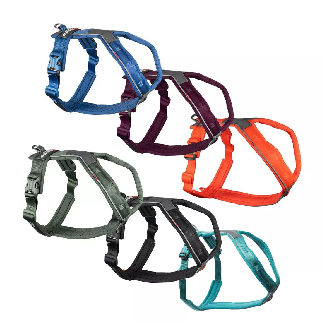 Postroj Line harness 5.0 vel. 2 - černá Loype