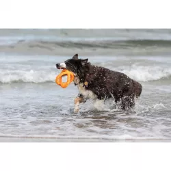 Aqua Toy Tugger, plovoucí hračka do vody, TPR, ø 17cm TRIXIE