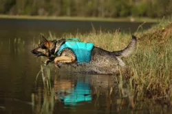Plovací vesta Protector life jacket | 3, teal Non-Stop