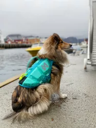 Plovací vesta Protector life jacket | 3, teal Non-Stop