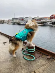Plovací vesta Protector life jacket | 3, teal Non-Stop