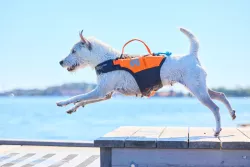 Plovací vesta Protector life jacket | 6, oranžová Non-Stop