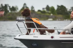 Plovací vesta Protector life jacket | 2, oranžová Non-Stop