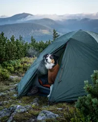 CityStyle mikina AMSTERDAM, rezavá L: 62cm, hruď: 76cm, krk: 52cm TRIXIE CityStyle mikina AMSTERDAM, rezavá L: 62cm, hruď: 76cm, krk: 52cm TRIXIE