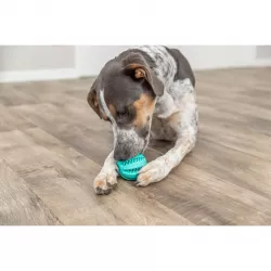DENTAfun míč s mátou 5 cm TRIXIE