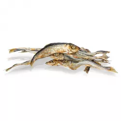 KIDDOG SUPER PREMIUM 100% dried real fish - islandský herinek 14 cm / 100 g KIDDOG SUPER PREMIUM 100% dried real fish - islandský herinek 14 cm / 100 g