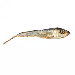 KIDDOG SUPER PREMIUM 100% dried real fish - islandský herinek 14 cm / 100 g KIDDOG SUPER PREMIUM 100% dried real fish - islandský herinek 14 cm / 100 g