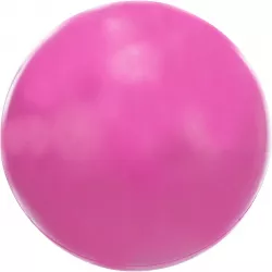 Míč plný, tvrdá guma 7 cm TRIXIE
