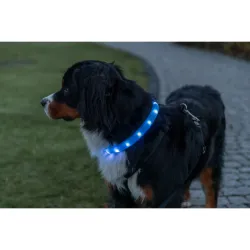 USB svítící obojek PLOCHÝ M-L 50cm/30 mm modrý TRIXIE USB svítící obojek PLOCHÝ M-L 50cm/30 mm modrý TRIXIE