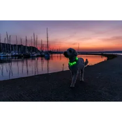 USB svítící obojek PLOCHÝ L-XL 70cm/17 mm zelený TRIXIE