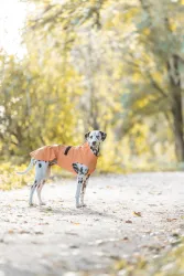 Pláštěnka VIMY, oranžová TRIXIE