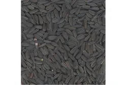 Slunečnice černá  800g