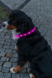 USB svítící obojek PLOCHÝ, růžový TRIXIE