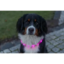 USB svítící obojek PLOCHÝ, růžový TRIXIE