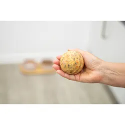 Denta Fun Surprise Ball s kuřecím masem a rýží, ø 7 cm, 100 g TRIXIE