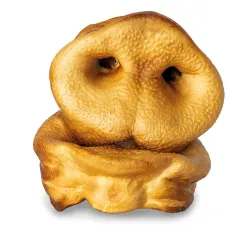 KIDDOG 100% Natural Snack přírodní vepřový rypáček JUMBO XXL popcorn 9 cm (10ks/bal.)