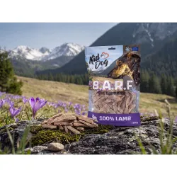 KIDDOG B.A.R.F. 100 % Lamb freeze dried - čisté jehněčí maso sušené mrazem 200 g