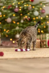 Xmas Candy Cane, vánoční hůlka, plyšová hračka s catnipem, 17,5 cm TRIXIE