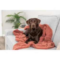 Deka Wooly, vlněný fleece, rezavá TRIXIE Deka Wooly, vlněný fleece, rezavá TRIXIE