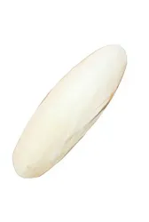 Kost sépiová volná 12cm 1ks