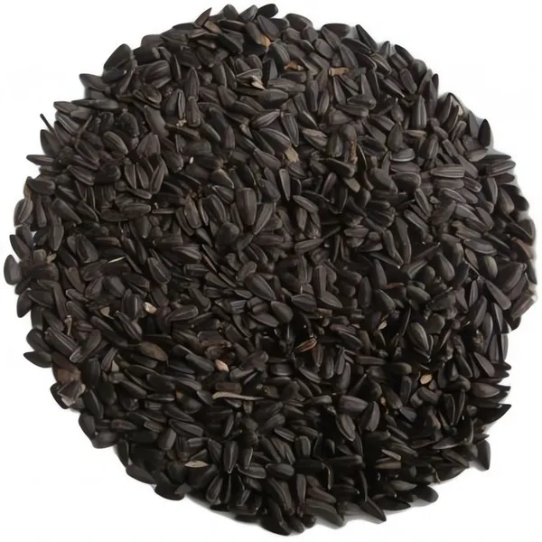 Slunečnice černá 1kg SIERA