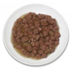 Natures Protection Cat kapsa Adult Chicken & Salmon - Weight Control 100g Nature´s Protection