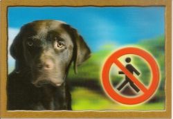 Cedulka 3D PSI, Labradorský retrivr (béžový)