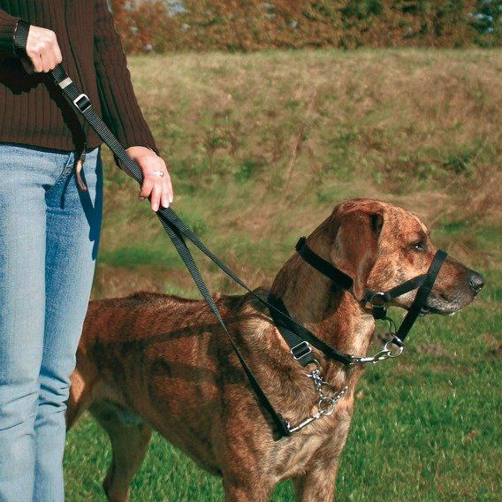 TOP TRAINER výcviková ohlávka M 27 cm TRIXIE