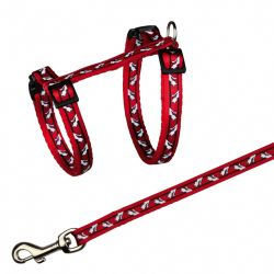 Postroj s vodítkem pro kočku - motiv 27-46cm/10mm 1,20m