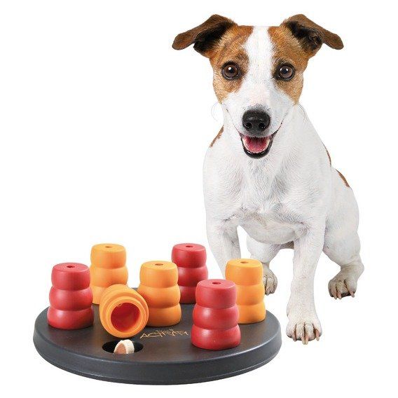 Dog Activity - MINI SOLITAIRE- kruh s kuželkami 20 cm TRIXIE