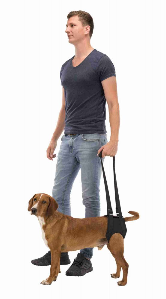 Podpůrná pomůcka k chůzi L-XL 75-85 cm černá TRIXIE