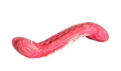 Antibakteriální dentální kost s vůní hovězího steaku HipHop přírodní guma 11 cm