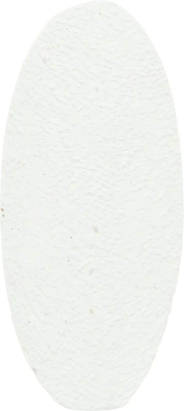 Kalciový kámen - sepiová kost volná 11 cm/40 g TRIXIE