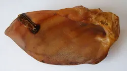 Sušené vepřové ucho- bal.50 ks